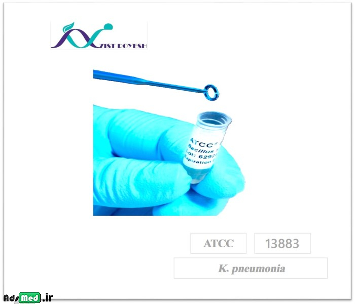 سوش باکتری کلبسیلا پنومونیه ATCC 13883 K. pneumonia + محیط غنی کننده TSB